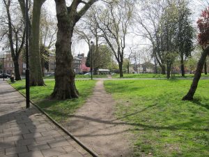 A desire path in Tottenham Green